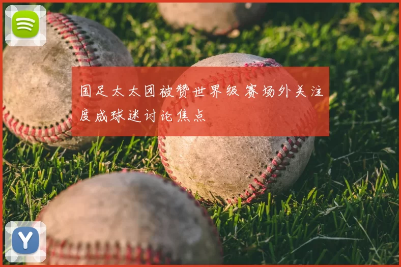 国足太太团被赞世界级 赛场外关注度成球迷讨论焦点