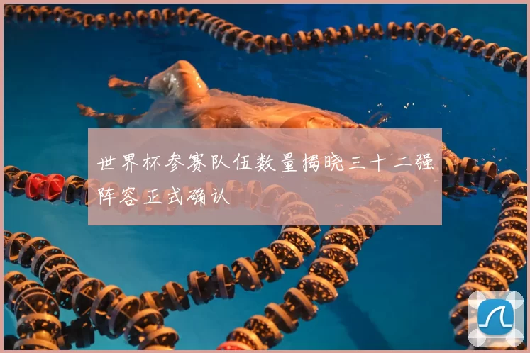 世界杯参赛队伍数量揭晓三十二强阵容正式确认