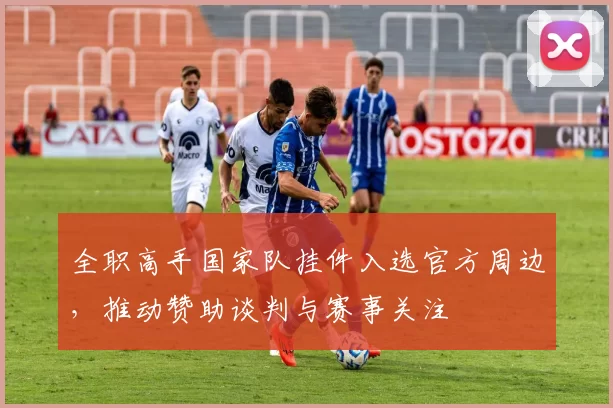 全职高手国家队挂件入选官方周边，推动赞助谈判与赛事关注