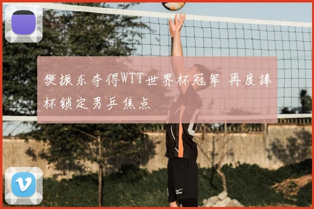 樊振东夺得WTT世界杯冠军 再度捧杯锁定男乒焦点
