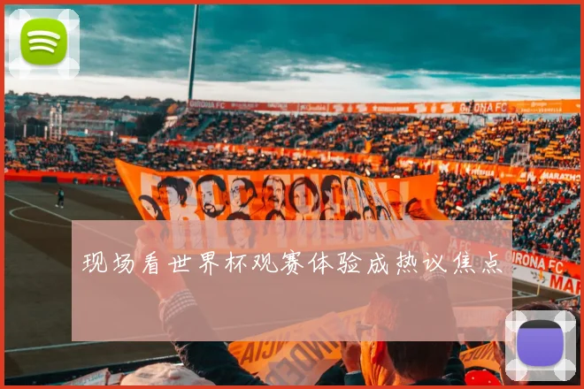 现场看世界杯观赛体验成热议焦点